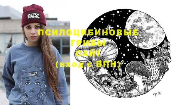 крисы Верхнеуральск