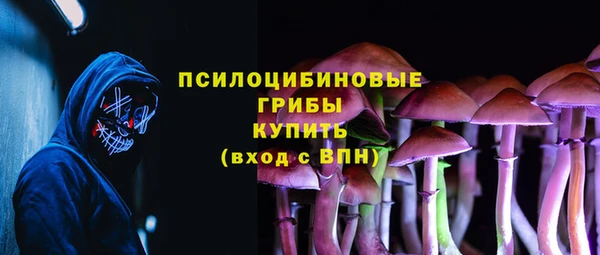 винт Верея