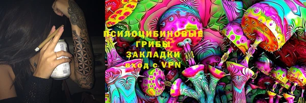 винт Верея