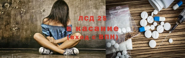 винт Верея