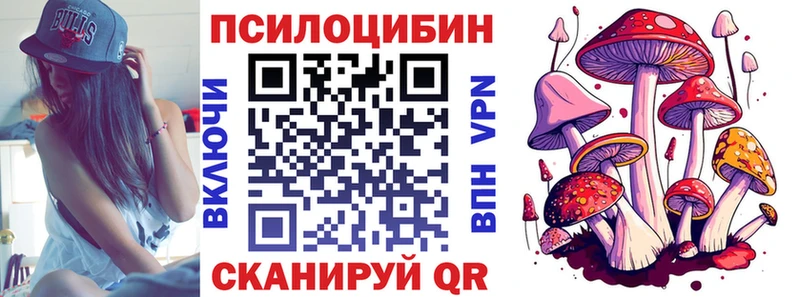 где найти наркотики  Красногорск  дарк нет телеграм  Псилоцибиновые грибы GOLDEN TEACHER 
